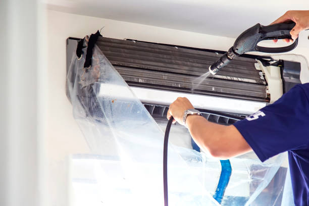 Air Duct Mold Removal in Citrus Park, AZ